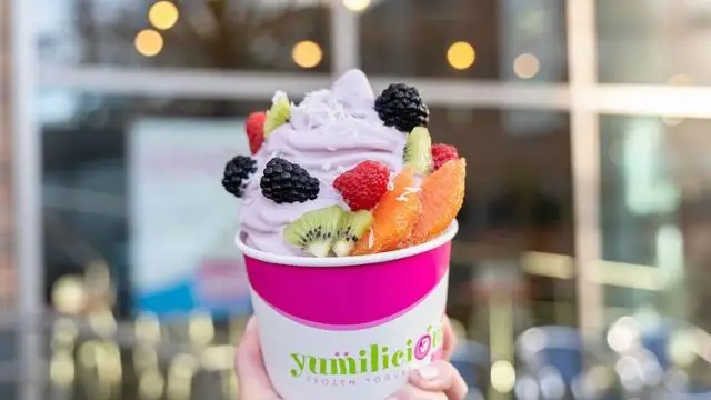 Yumilicious Yogurt