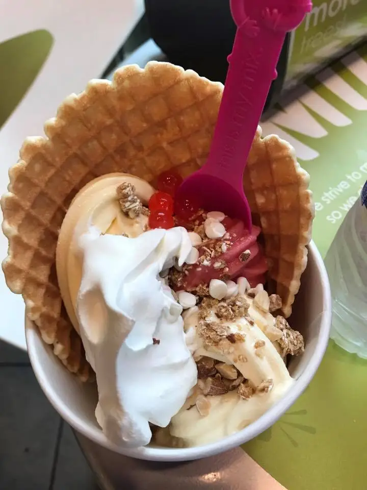 Menchie_s Frozen Yogurt (Watters Creek)