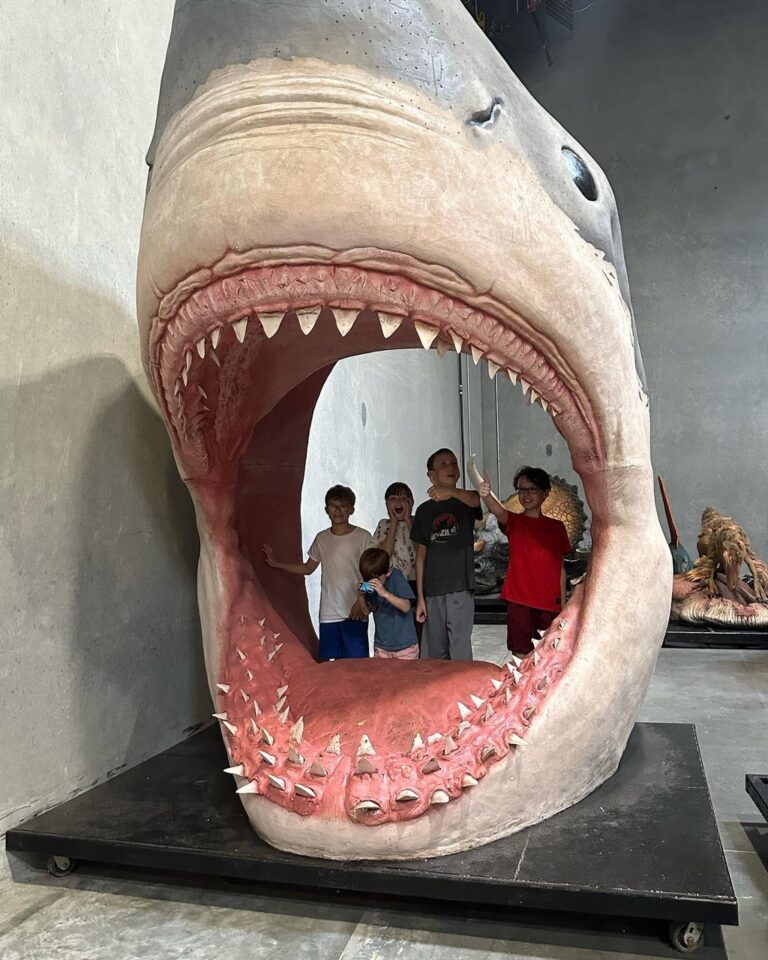 Shark at The Dinosaur Company