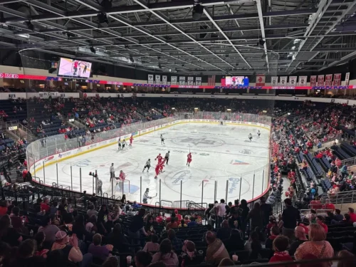 Allen Americans Hockey in Allen, TX