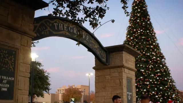 Welcoming entrance of the Grove's arch and spacious walkway with a beautiful large Christmas tree nearby
