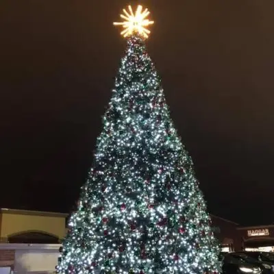 Allen Premium Outlets Tree Lighting