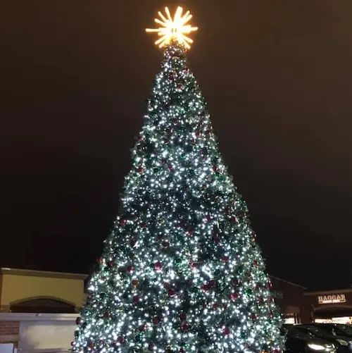 Allen Premium Outlets Tree Lighting