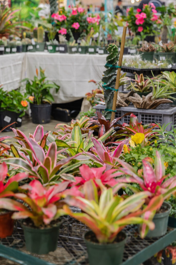 Pink and green plants at PlantCon booth.