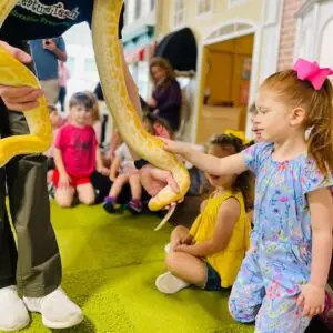 The Creature Teachers at Play Street Museum