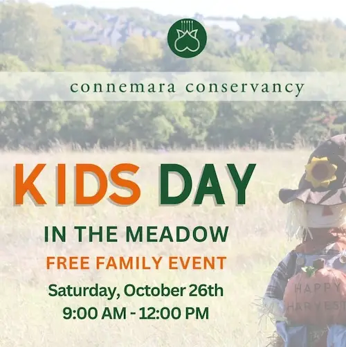 Kids Day in the Meadow