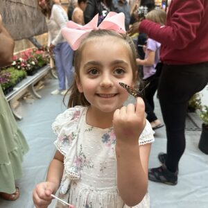 Butterfly Festival