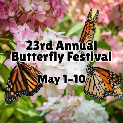 Monarch butterflies on pink flowers with text promoting the 23rd Annual Butterfly Festival, May 1–10.