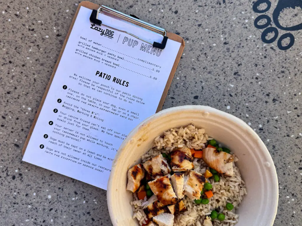Grilled chicken and rice bowl from the Lazy Dog pup menu next to patio rules sign at Lazy Dog Restaurant in Allen, Texas.