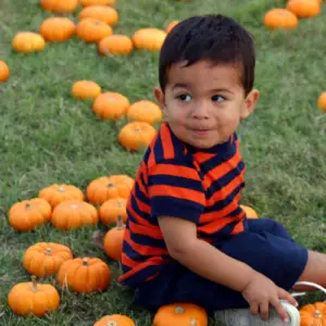 Young child sitting among small orange pumpkins on the grass during a fall event in Allen, Texas.