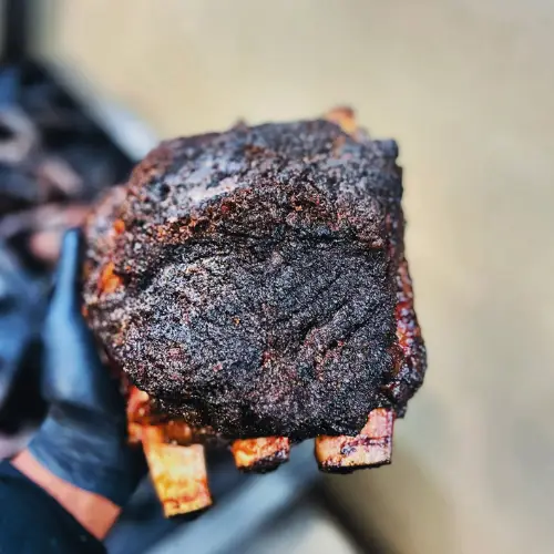 Gloved hand holding a rack of smoked beef ribs with a dark, seasoned bark and exposed rib bones.