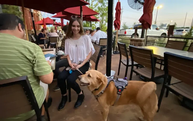 Lazy Dog Restaurant is Dog-Friendly